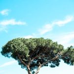 What 12 Months of Secondhand-Only Shopping Taught Me About Wardrobes