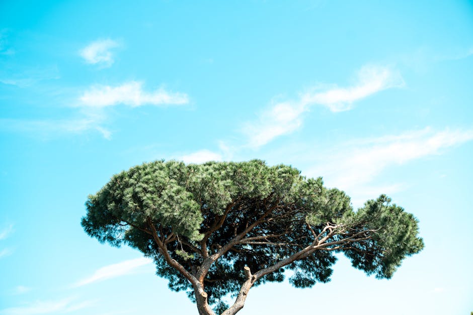 What 12 Months of Secondhand-Only Shopping Taught Me About Wardrobes