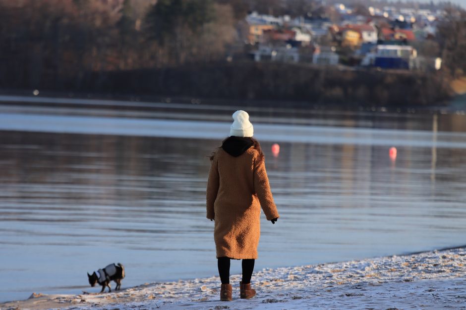 A woman in a coat walks her dog along a tranquil winter lake shore.